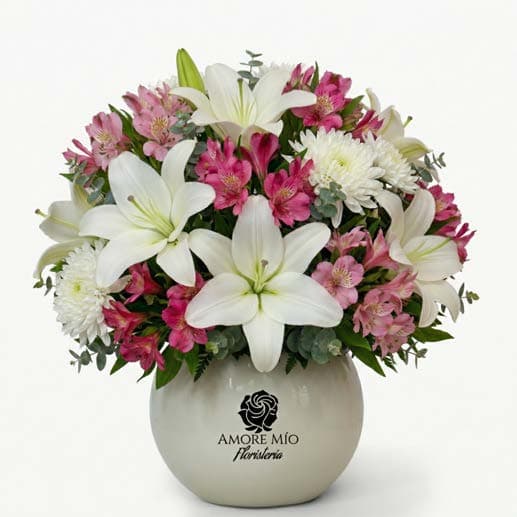 Base cristal premium J3