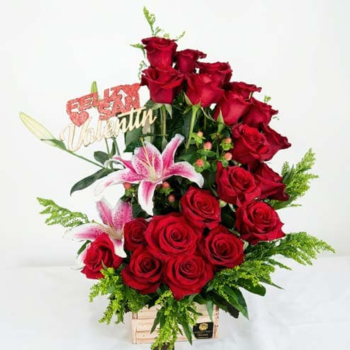 Base rígida clásica S10